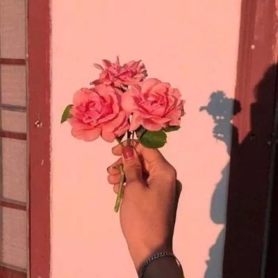 次元对决测试试玩下载